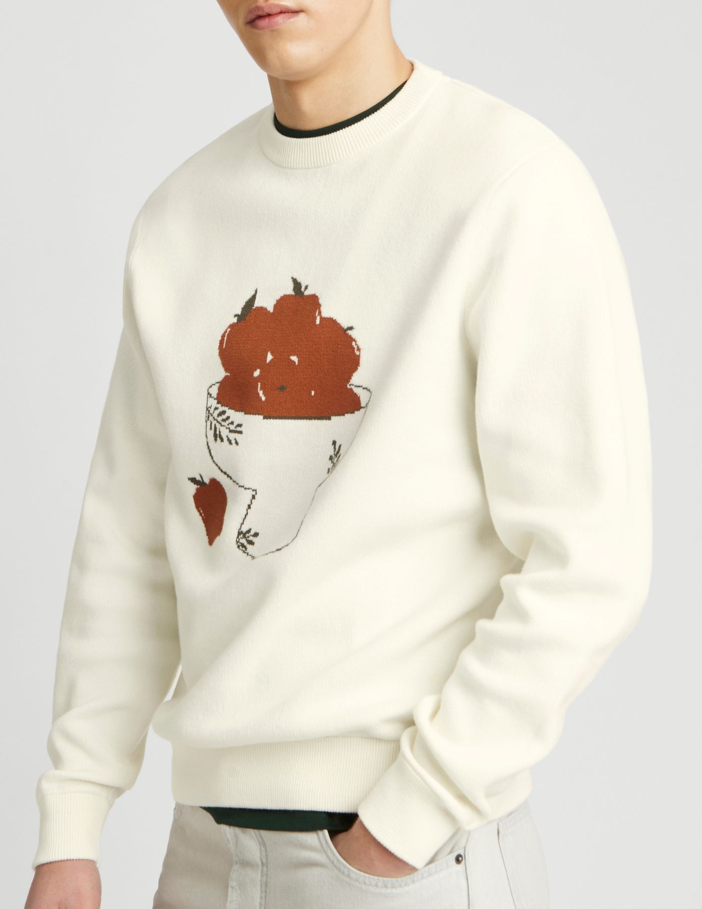 Pull imprim&eacute; pommes