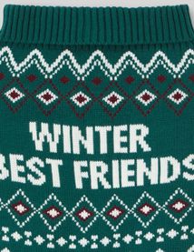 Pull de Noël pour chien