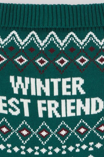 Pull de Noël pour chien