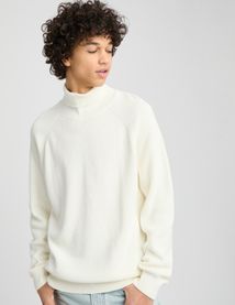 Pull col roulé