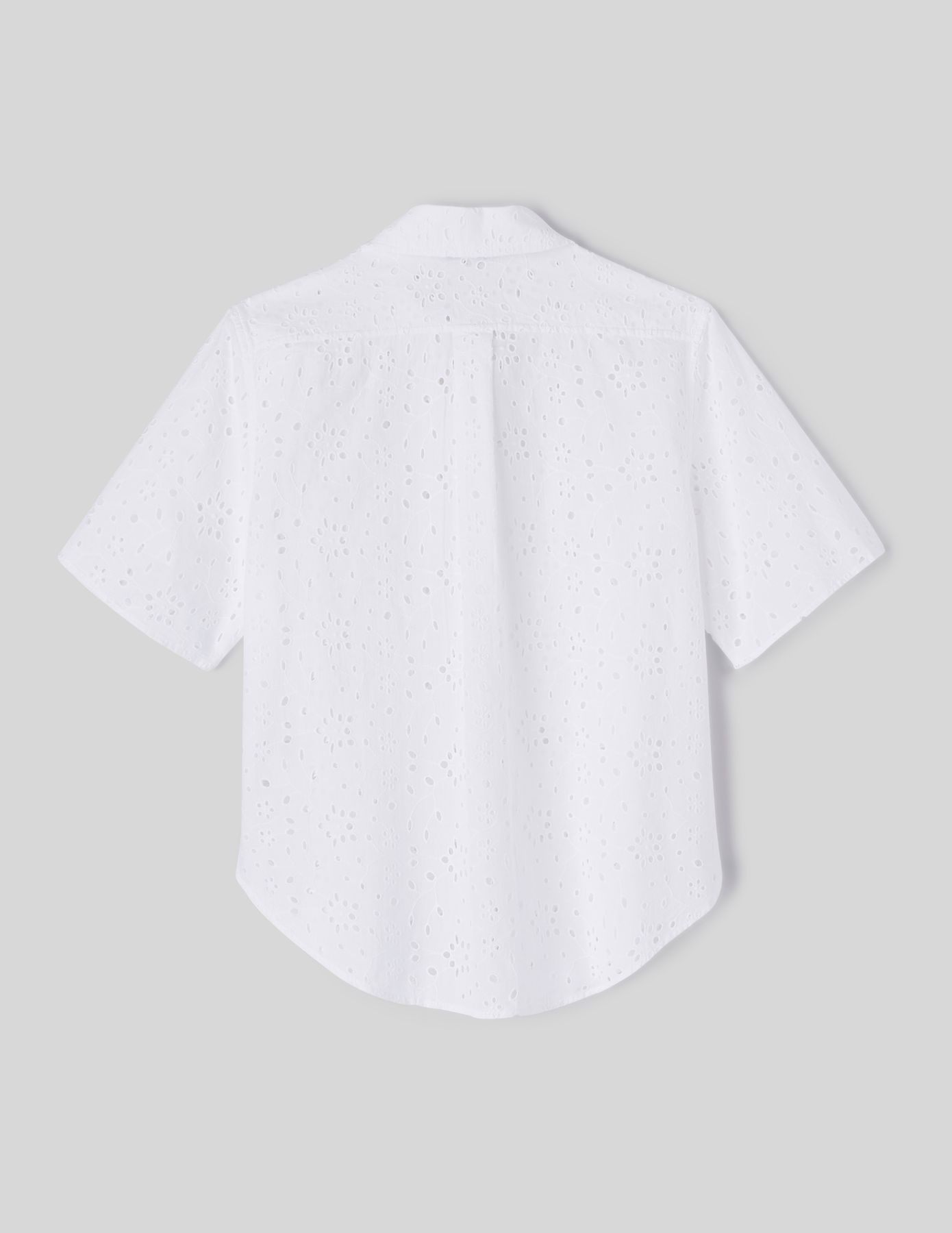 Chemisette broderie anglaise