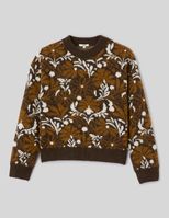 Marron fonc&eacute;e