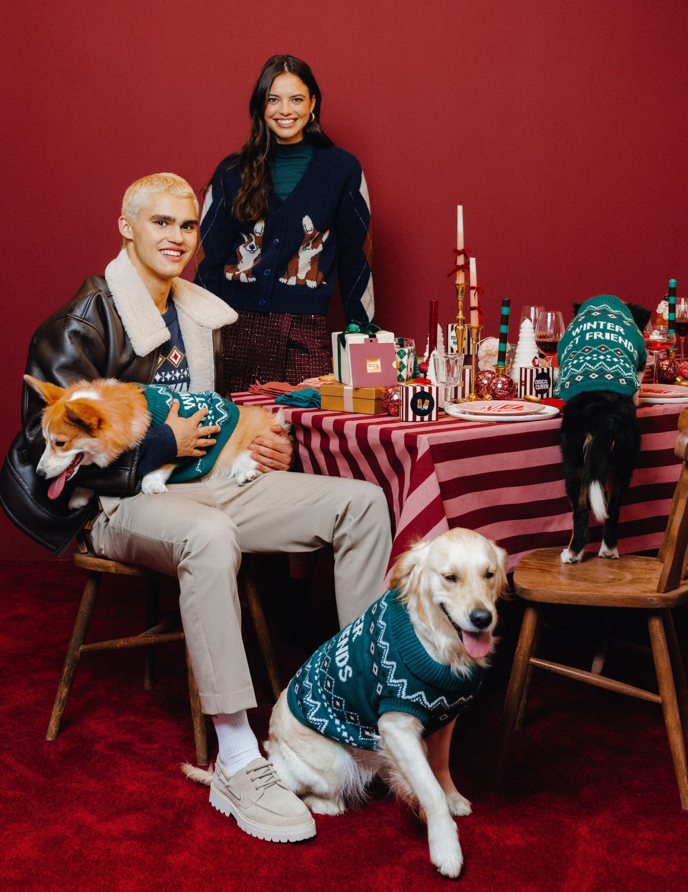 Pull de No&euml;l pour chien