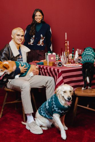 Pull de No&euml;l pour chien