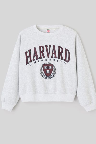 Sweat licence Harvard