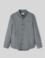 Gris