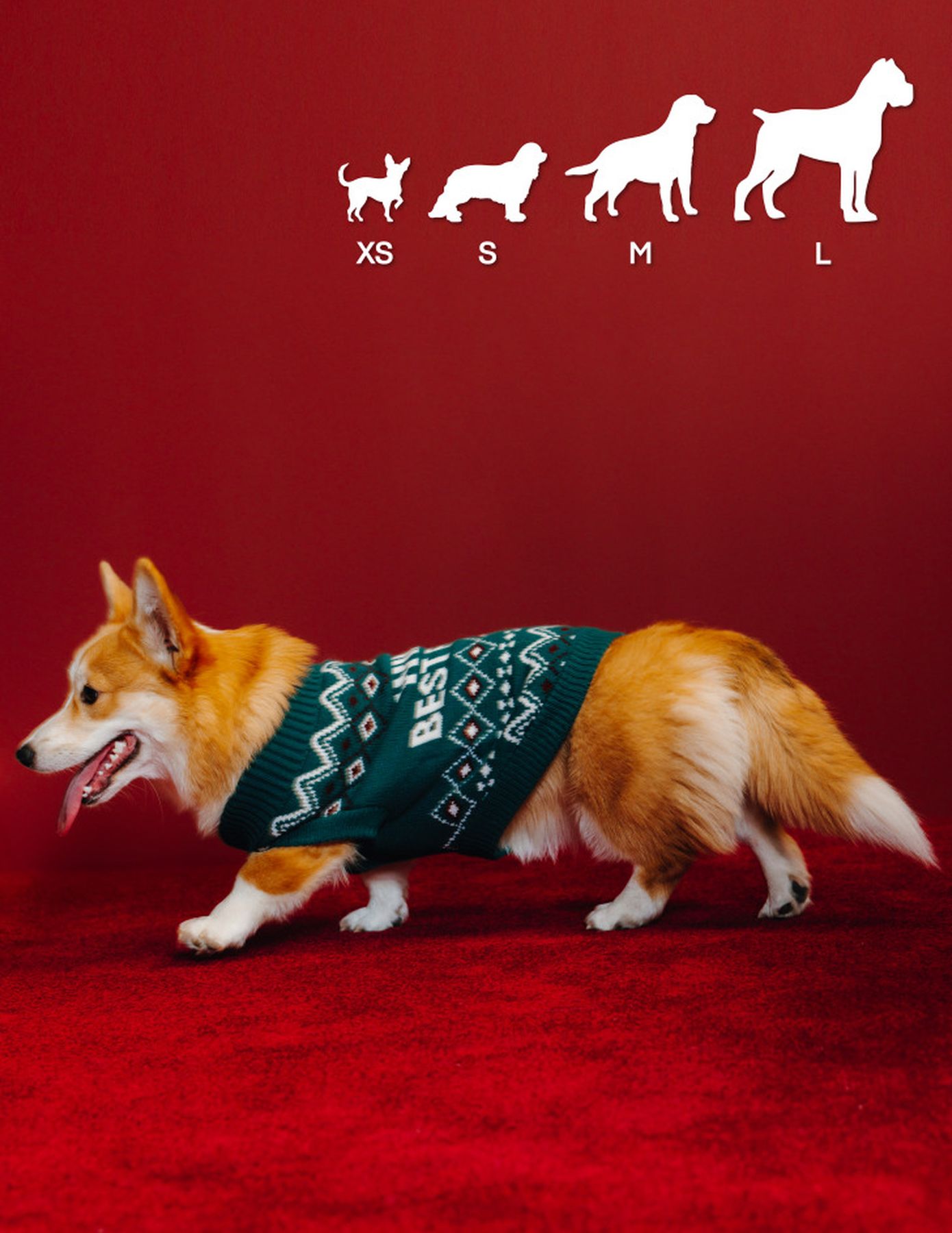 Pull de No&euml;l pour chien