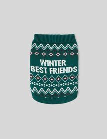 Pull de Noël pour chien