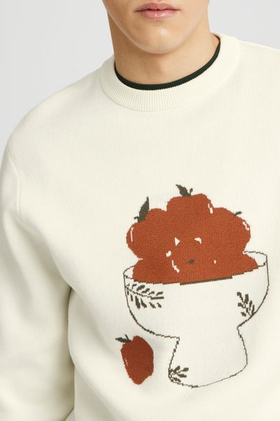 Pull imprim&eacute; pommes