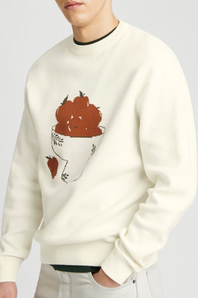 Pull imprim&eacute; pommes