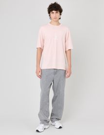 Jean skater gris clair