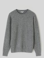 Gris