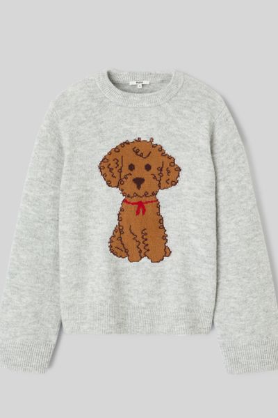 Pull motif chien