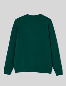 Pull col rond