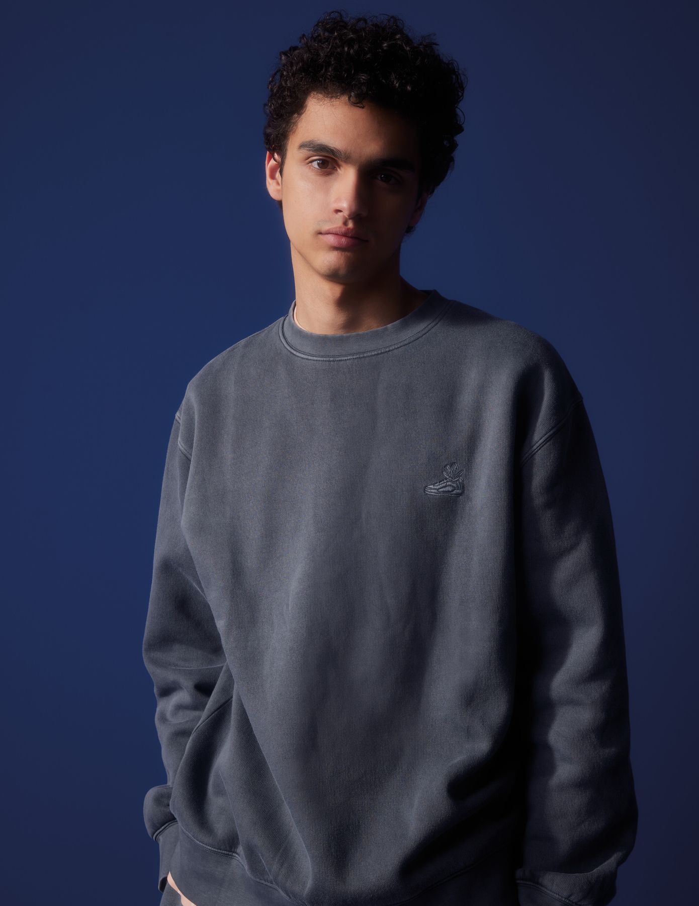 Sweat col rond brod&eacute;